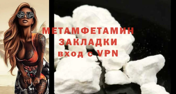сатива Новозыбков