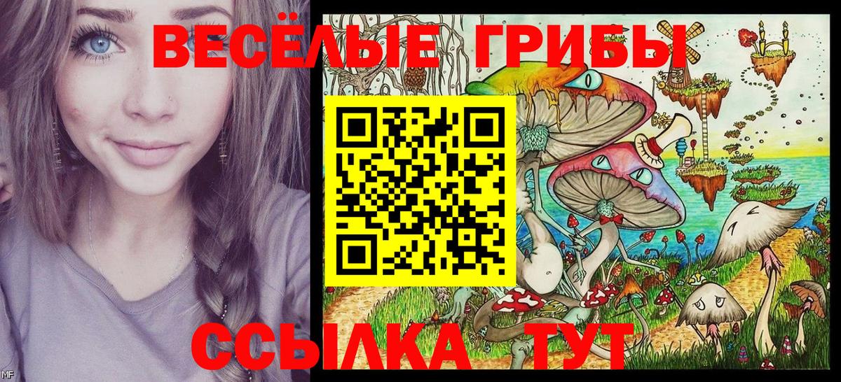 Псилоцибиновые грибы GOLDEN TEACHER Татарск