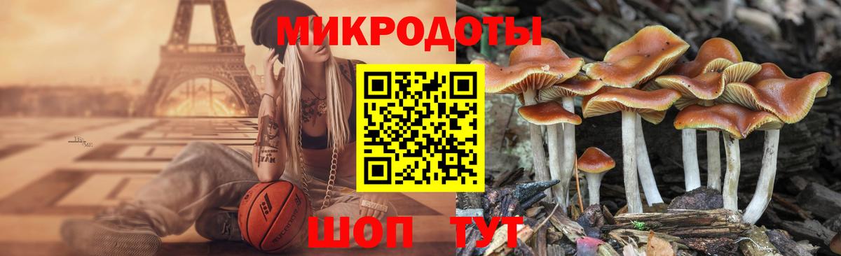 Галлюциногенные грибы Cubensis Татарск